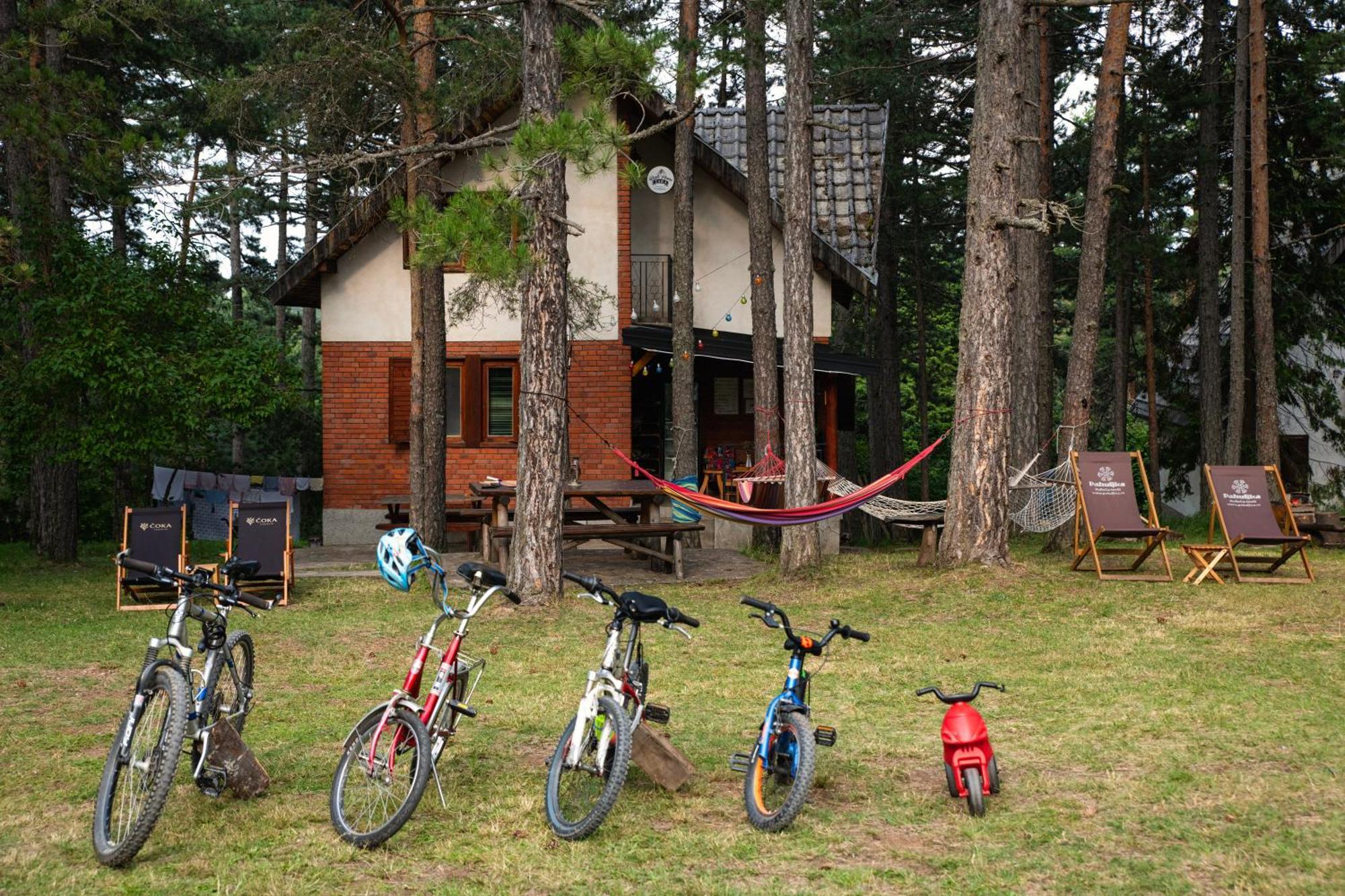Rustic Home Tara Kaludjerske Bare Dış mekan fotoğraf