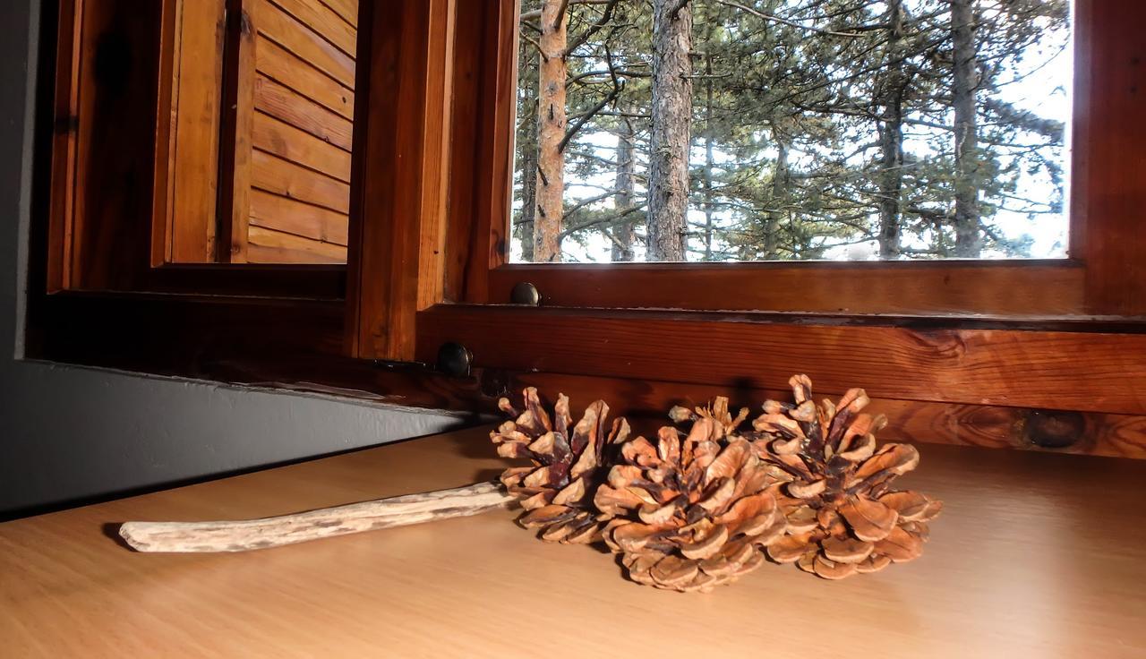 Rustic Home Tara Kaludjerske Bare Dış mekan fotoğraf
